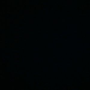 Meet your Posher, Wally